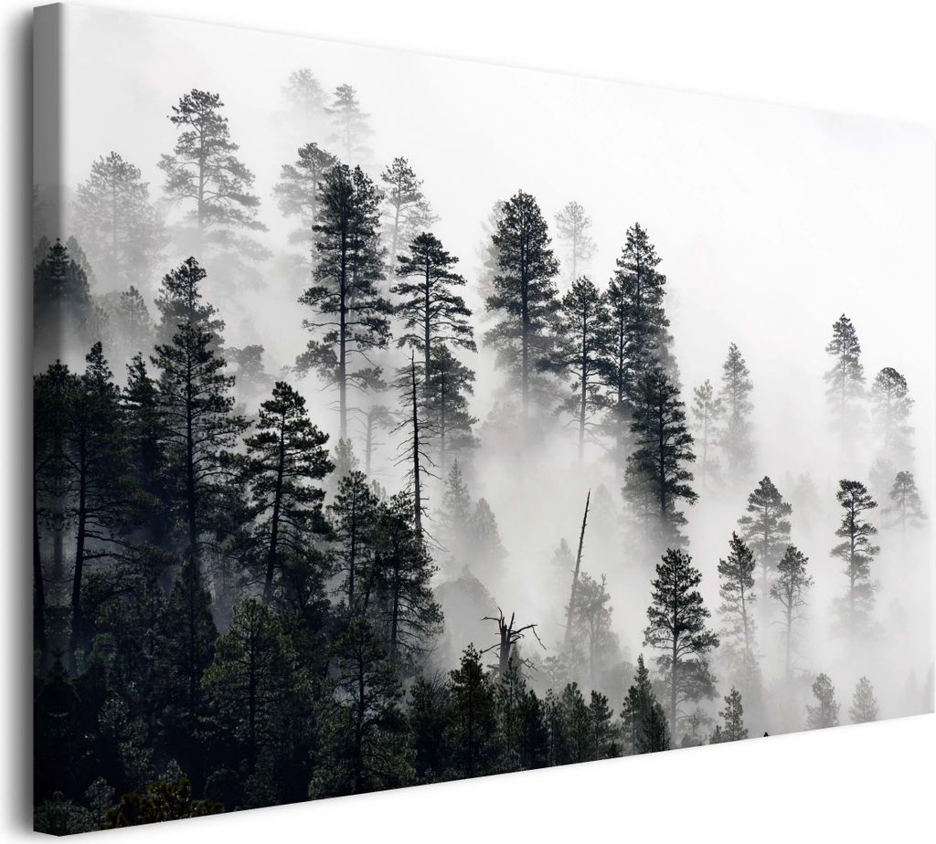 Stimmungsvolles Leinwandbild für die Wand im Wohnzimmer Nebelwald 80x120cm