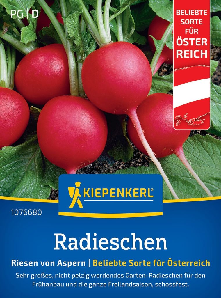 Radies Riesen von Aspern (Regional AT) | Radieschensamen von Kiepenkerl