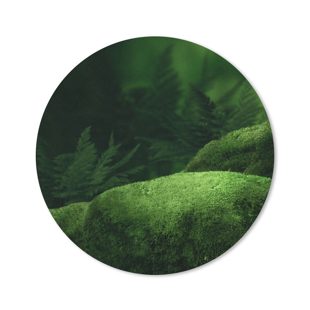 MuchoWow Mauspad Mousepad Moos - Stein - Wald 20x20 cm - Mousepads - Maus Mat - Pad - Mausunterlage - Schreibtischmatte