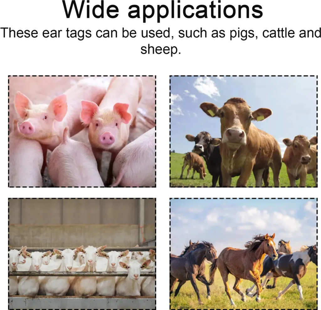 Pince à étiqueter en alliage robuste avec kit de 100 tags et clé