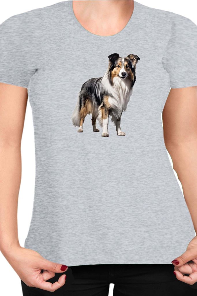 Damen T-Shirt Dogs Breeds Collie Dog Breed 005, Lady XL / Grau