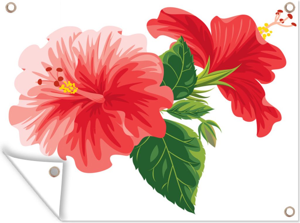 MuchoWow 80x60 cm Outdoor-Poster Gartendeko Sichtschutz Garten Poster für den Garten Aquarellierte Illustration eines Hibiskus