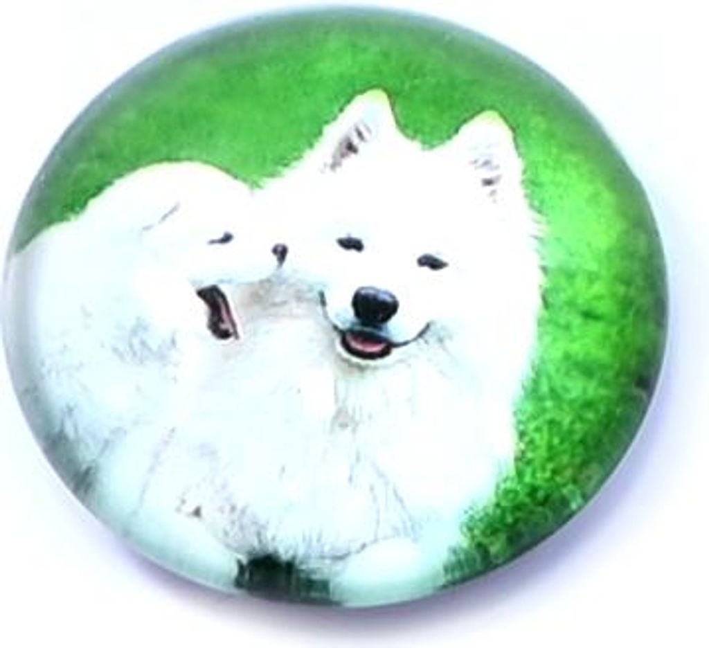 Glasmagnet Hunde Kühlschrankmagnet Tier Deko Büro Magnet Pinnwand Rund 3,5cm Süß