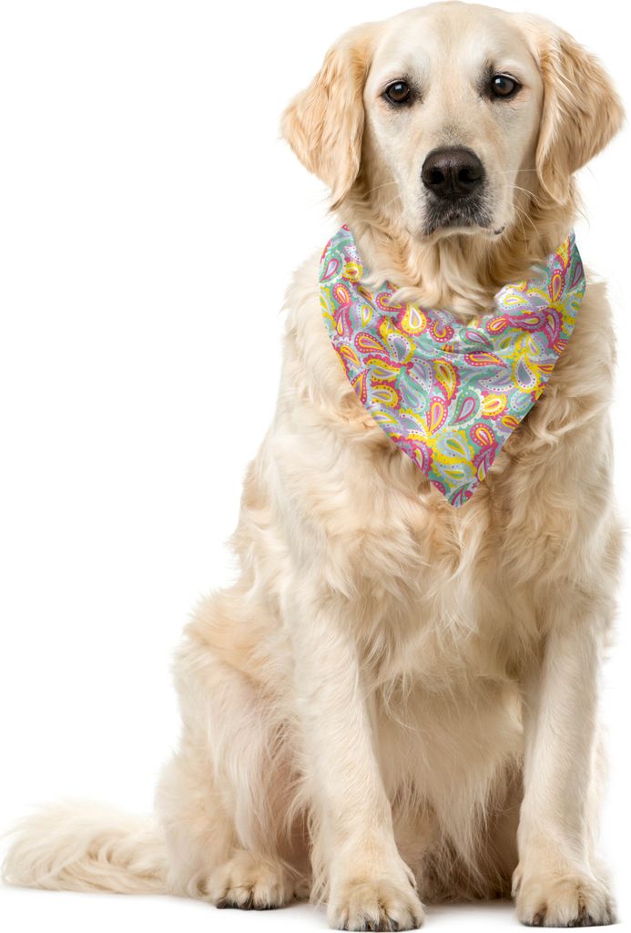 ABAKUHAUS Paisley Haustier Bandana, Bunte ethnische Jumble Kunst, 40x40 cm, Mint Green Senf