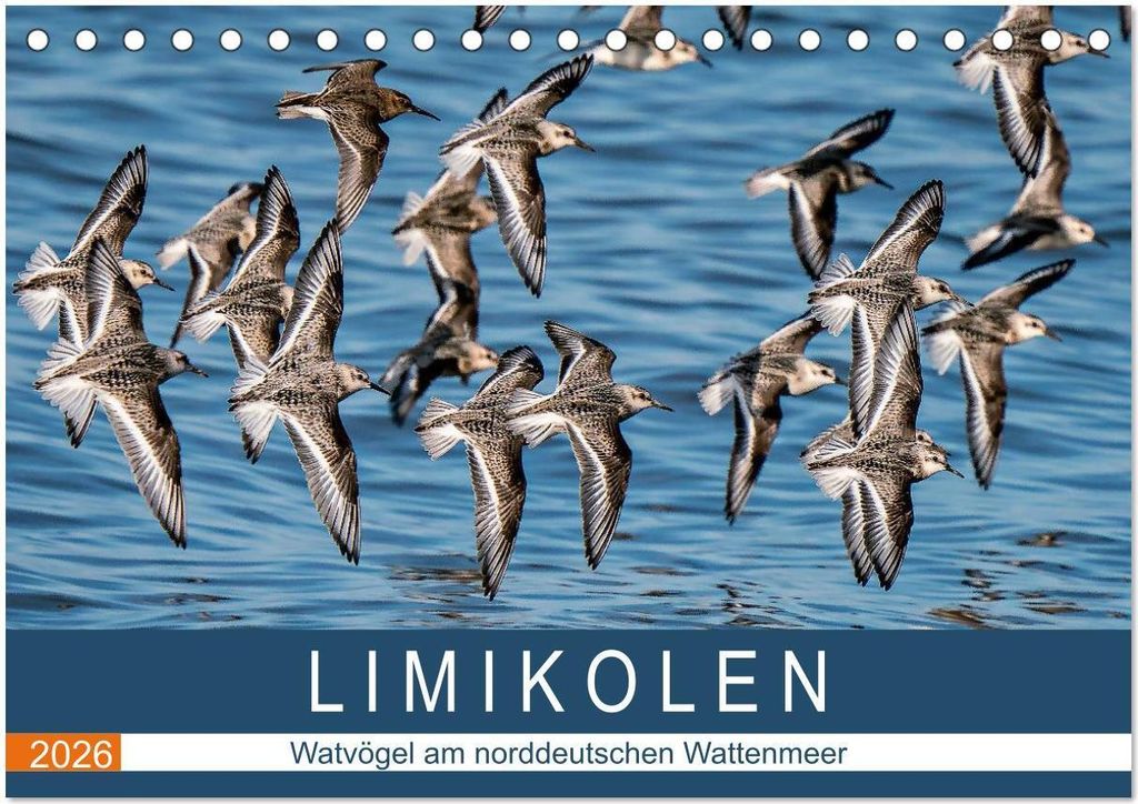 Limikolen - Watvögel am norddeutschen Wattenmeer (Tischkalender 2026 DIN A5 quer), CALVENDO Monatskalender