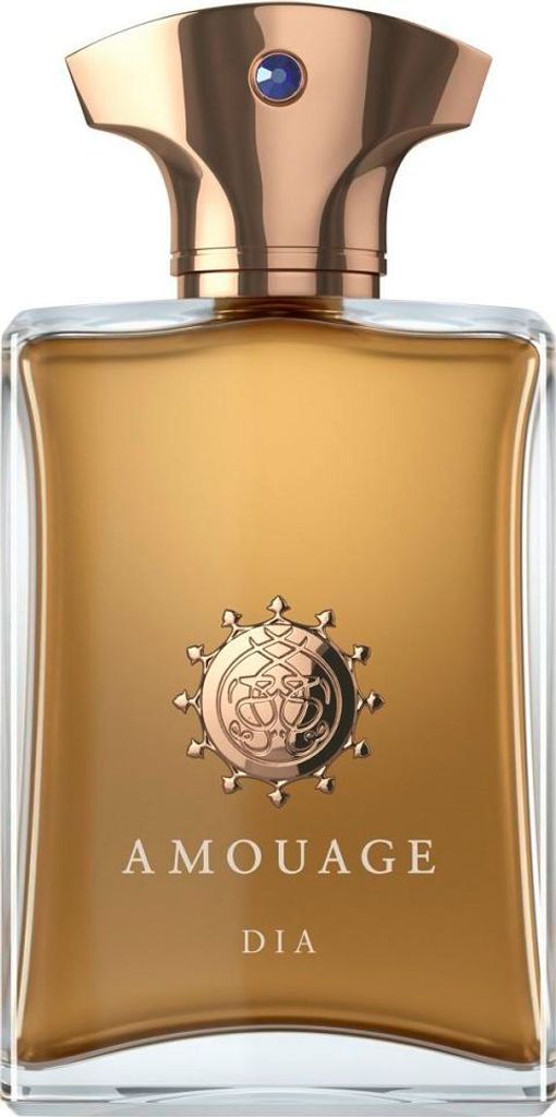 Amouage Dia for Man 100ml Eau de Parfum Immagine del prodotto 
