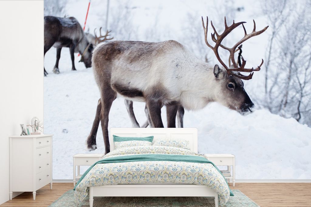 MuchoWow Fototapete für Wohnzimmer oder Schlafzimmer Wandtapete Vinyl Motivtapete Ein Weihnachtsfoto von Rentieren entlang der Straßen von Kilp...