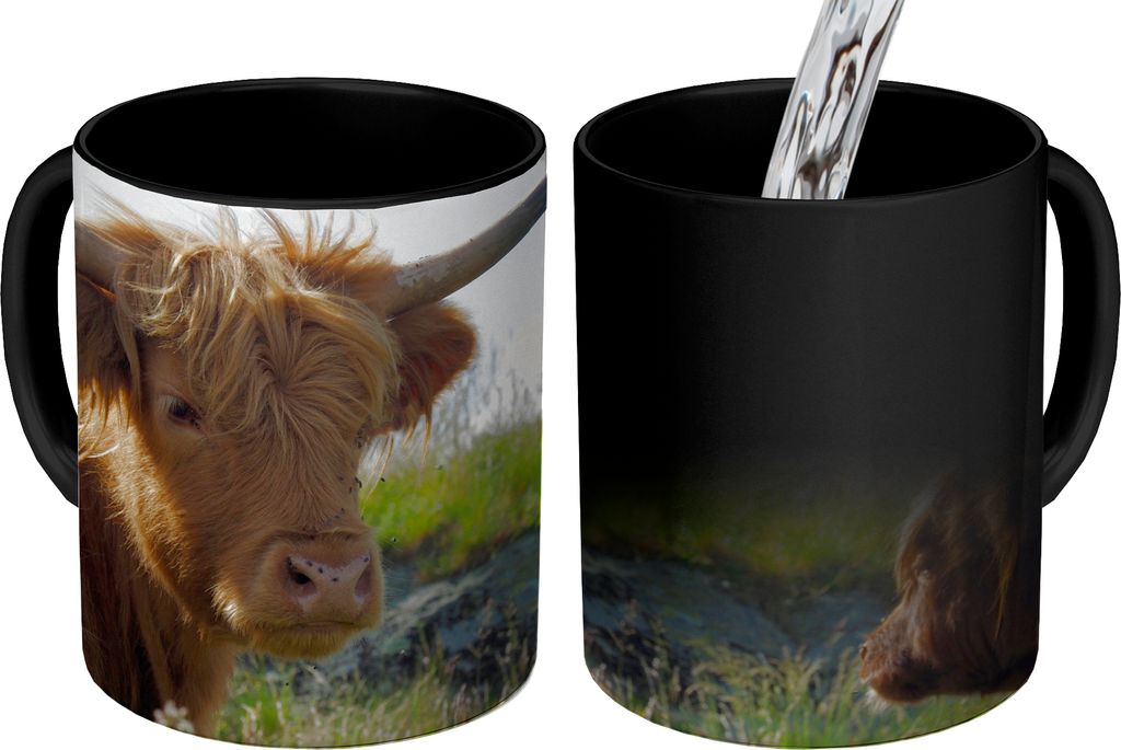 MuchoWow Zauber Tasse Zaubertasse Magic Schottisches Hochlandrind Cup - Landschaft - Kuh 350 ml Farbwechsel Becher Geschenk Geschenkidee - Magic-...