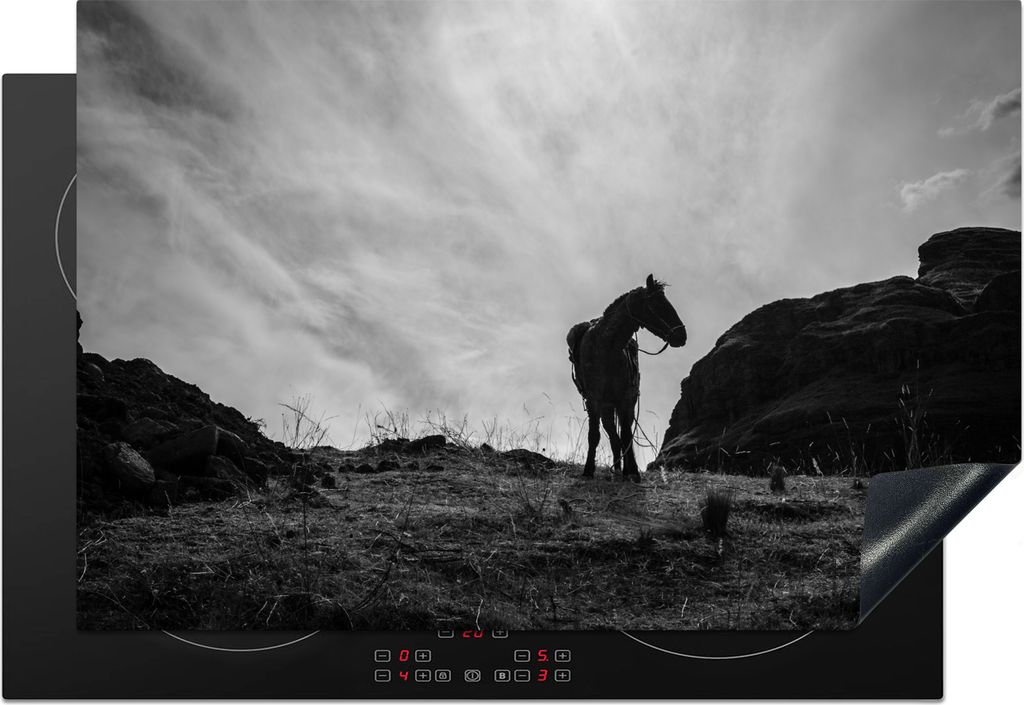 KitchenYeah Herdabdeckplatte Pferd - Wolken - Wiese , 77x51cm, Küche Deko, Glaskeramikkochfeld Herdabdeckung, Abdeckplatte fùr Kochfeld