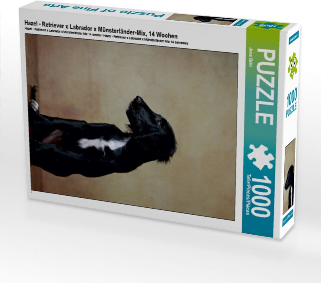 Calvendo Hazel - Retriever x Labrador x Münsterländer-Mix, 14 Wochen 1000 Teile Puzzle hoch 480x640mm, Behr Jana; 7330866