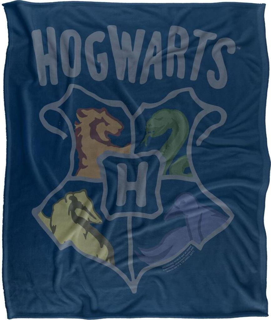 Harry Potter - Decke "Hogwarts", Gekritzel TV18942 (Einheitsgröße) (Bunt)