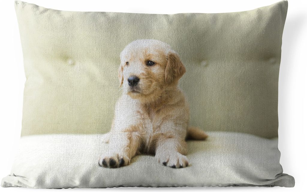 MuchoWow Outdoor Kissen - Golden Retriever Welpe auf dem Sofa liegend - 50x30 cm - Wetterfest - Lounge Kissen - Sofa kissen - Wohnzimmer Dekoration