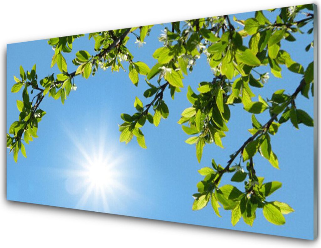 Küchenrückwand aus Glas 100x50cm Spritzschutz Sonne Natur