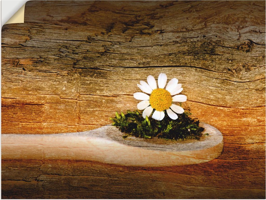 ARTland Wandbild, selbstklebend Kamille Größe: 60x45 cm