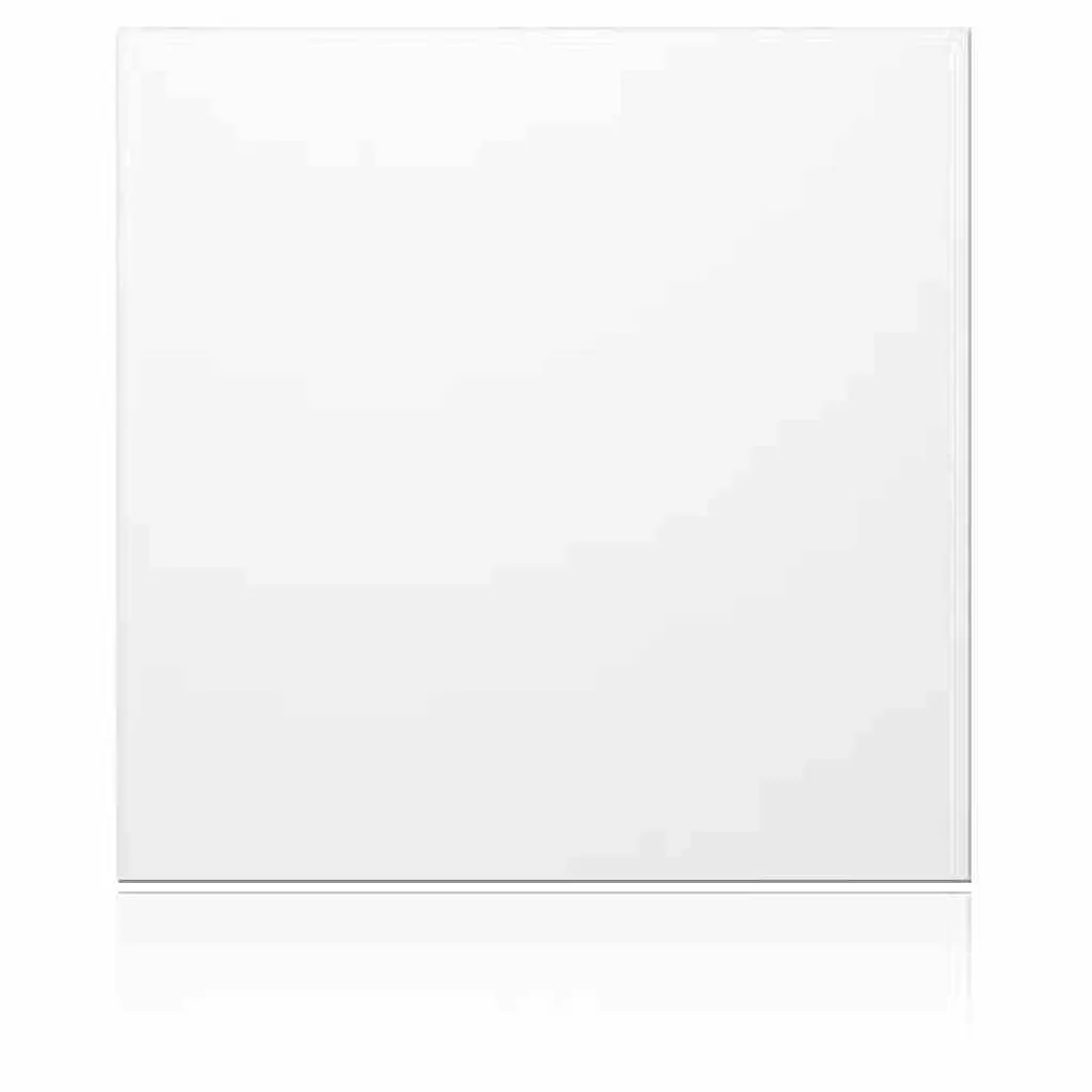 Cache Module Ritto Portier 1876670 : Solution pour Emplacement Vide WS