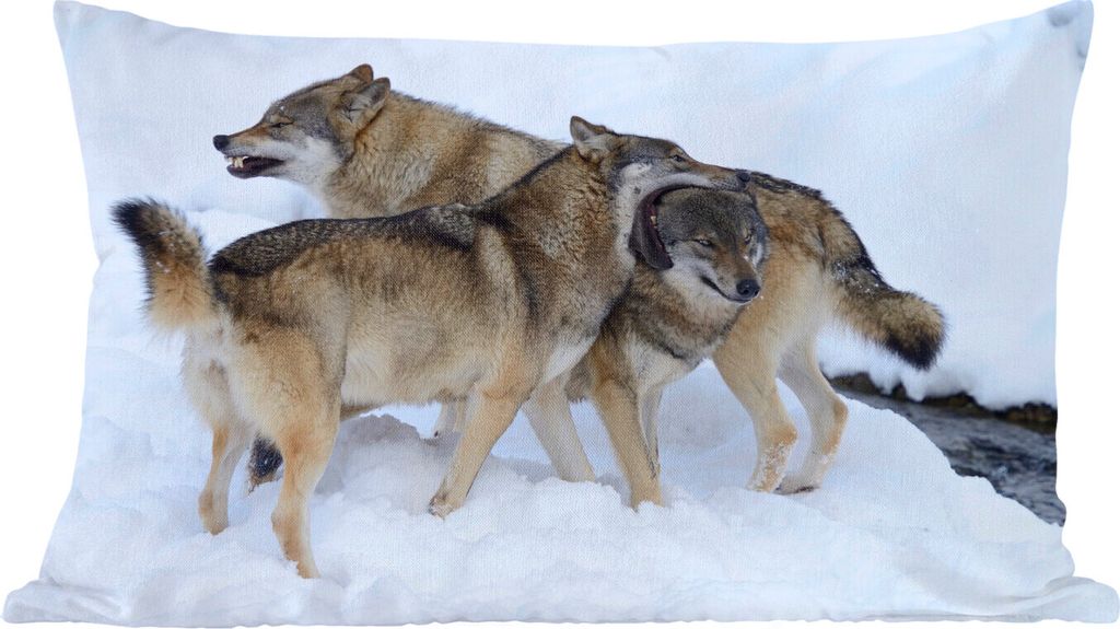 MuchoWow Zierkissen Sofakissen Wohnzimmer Dekokissen 50x30 cm Wolf - Europa - Schnee - Wohnzimmerdekoration - Polster mit Photo