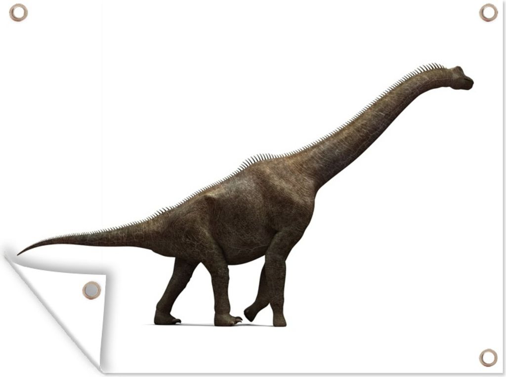 MuchoWow 40x30 cm Outdoor-Poster Gartendeko Sichtschutz Garten Poster für den Garten Dinosaurier - Weiß - Groß