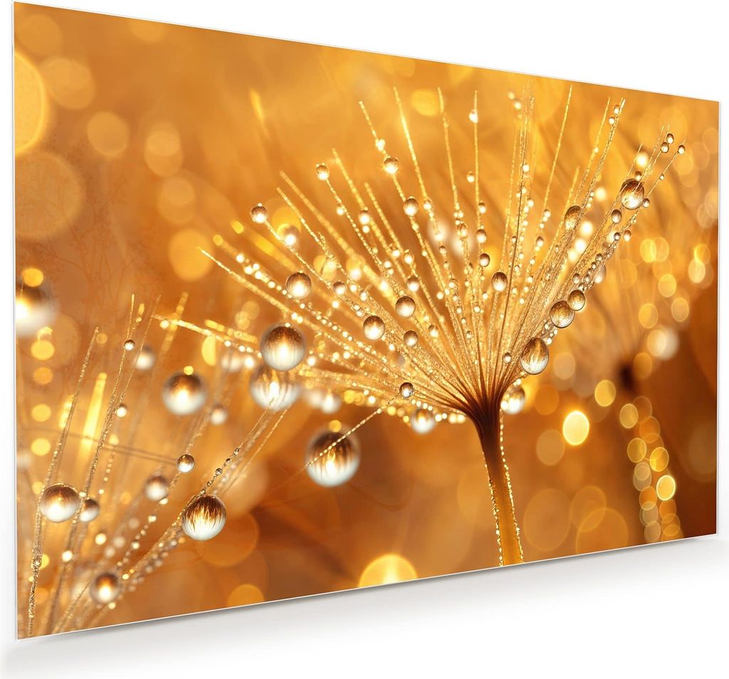 Glasbild 75x50cm in XXL für Wohnzimmer, Schlafzimmer Motiv Löwenzahn Tropfen
