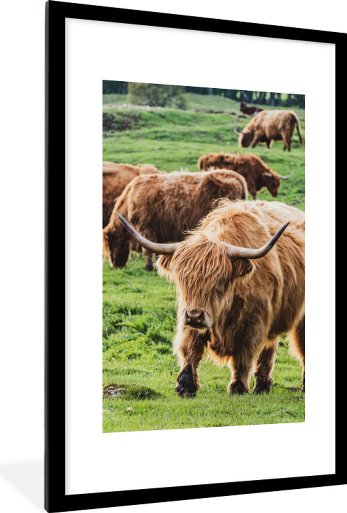 MuchoWow® MuchoWow® Gerahmtes Poster Herde - Schottisches Produktbild 