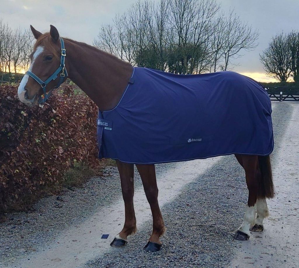 Bucas Power Cooler & Neck Abschwitzdecke, Farbe:Navy/Silver, Größe:155