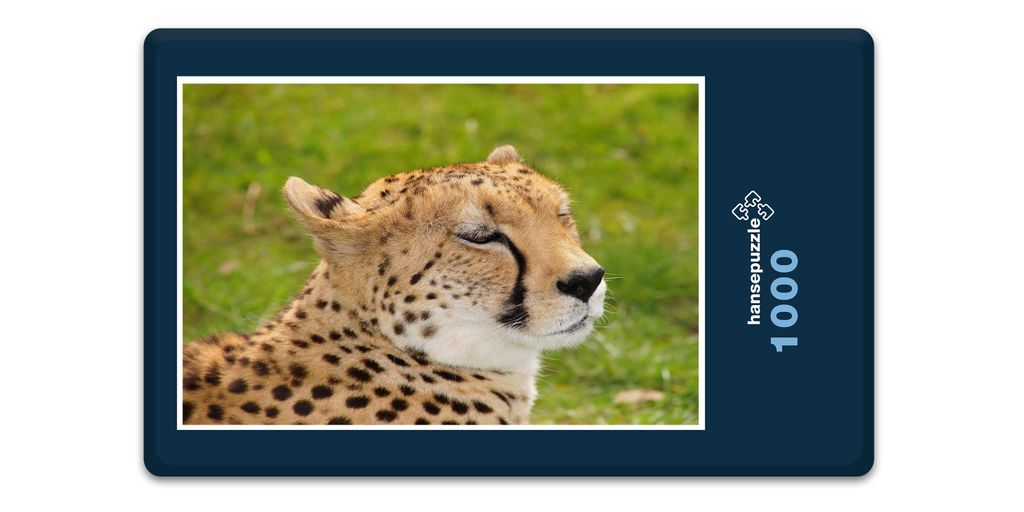 hansepuzzle 10399 - Leopard Puzzle, 1000 Teile, Natur, 60,0 x 46,0cm mit hochwertiger Aufbewahrung, Kartonbox und wiederverschließbarem Beutel
