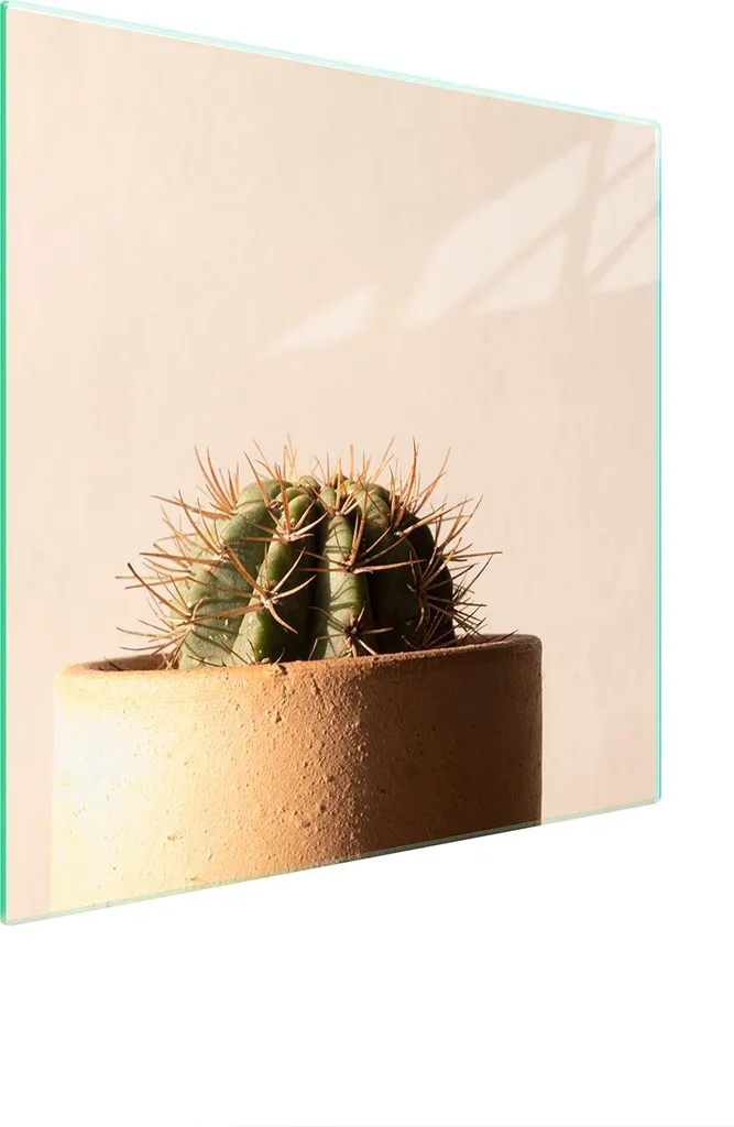 Piastra Vetro Cactus 50x52 | Il Must-Have per la tua Cucina Instagram