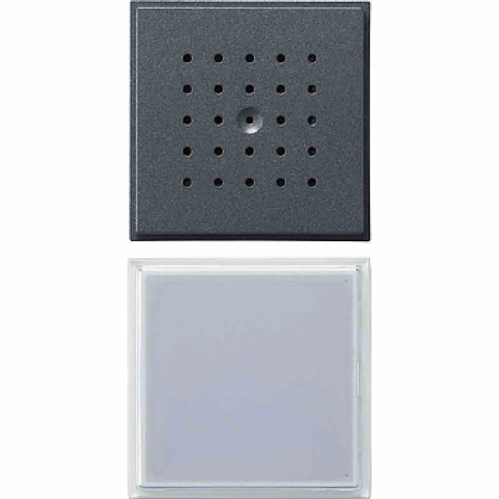 GIRA 126067 Interphone Audio System Gris Anthracite pour la Maison
