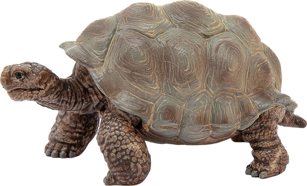 Želva obrovská Schleich Obrázok produktu 3