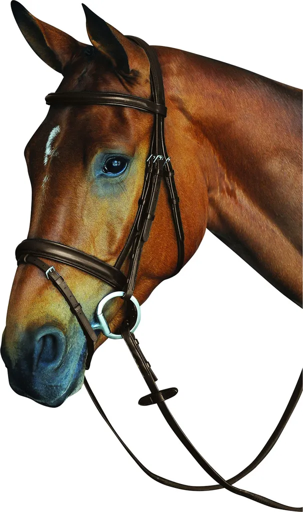 Bridon Confort Collegiate WB661 Marron avec Lanière de Blocage Poney