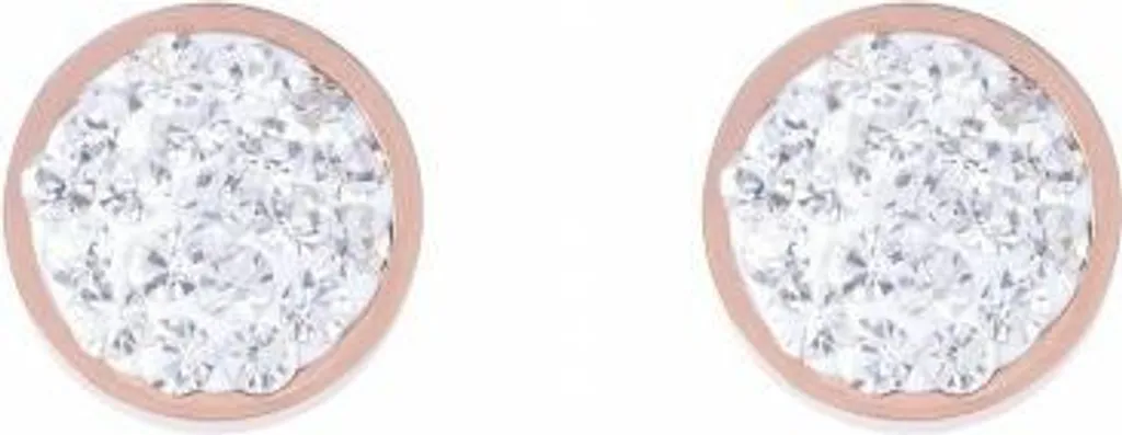 Boucles d'oreilles Cœur de Lion pour femmes en acier inoxydable multi