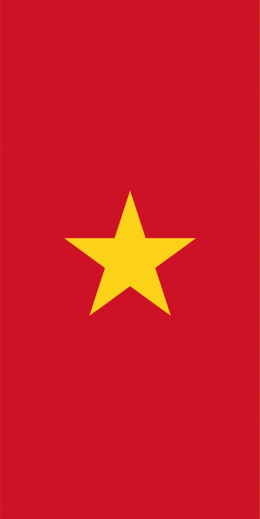 Kamerun Kunstdruck Bild - Flaggen Der Welt (40 x 50 cm)