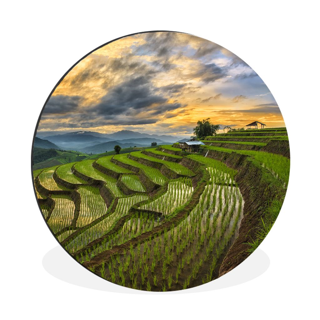 MuchoWow Aluminium Wandkreis Ein schönes Wolkenfeld über den Reisfeldern Thailands Ø 60 cm Wanddeko Modern Wohnzimmer - Wand Kreis - Wandbild ...