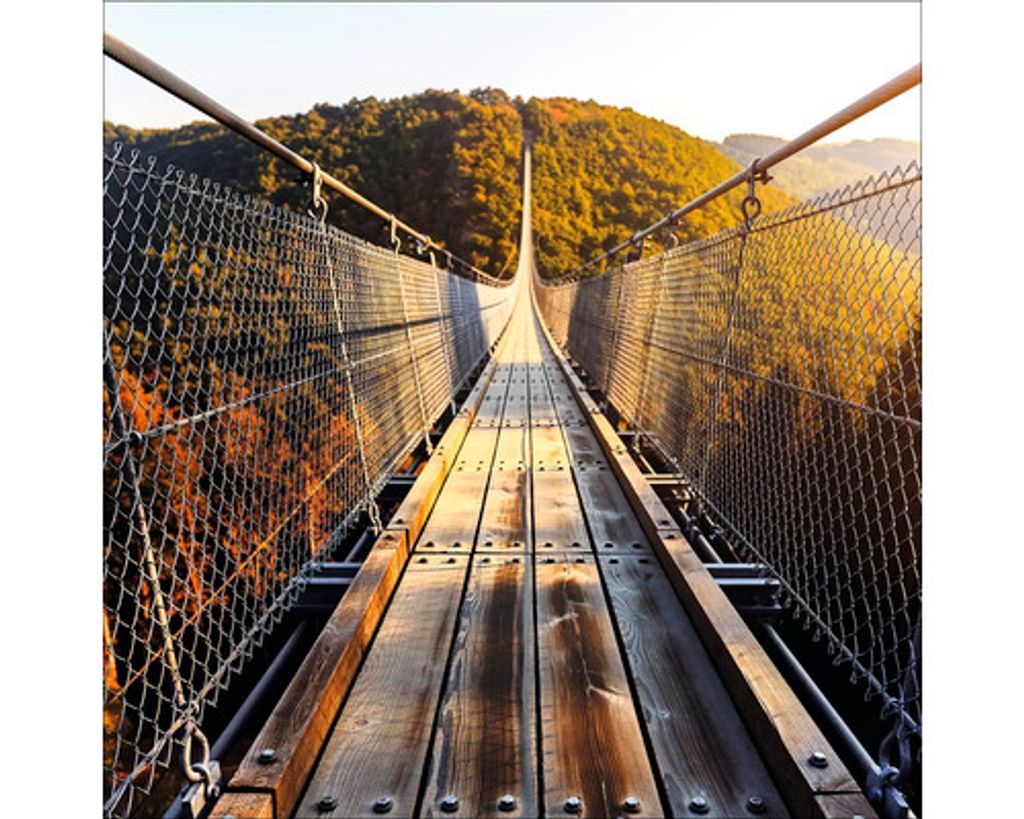 Glasbild Harz Hängeseilbrücke I 20x20 cm