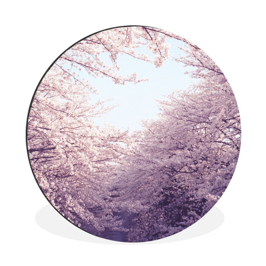 MuchoWow Aluminium Wandkreis Kirschbaumzweige im Frühling Ø 90 cm Wanddeko Modern Wohnzimmer - Mauerkreis - Wandbilder - Runde Bild - Bild aus ...
