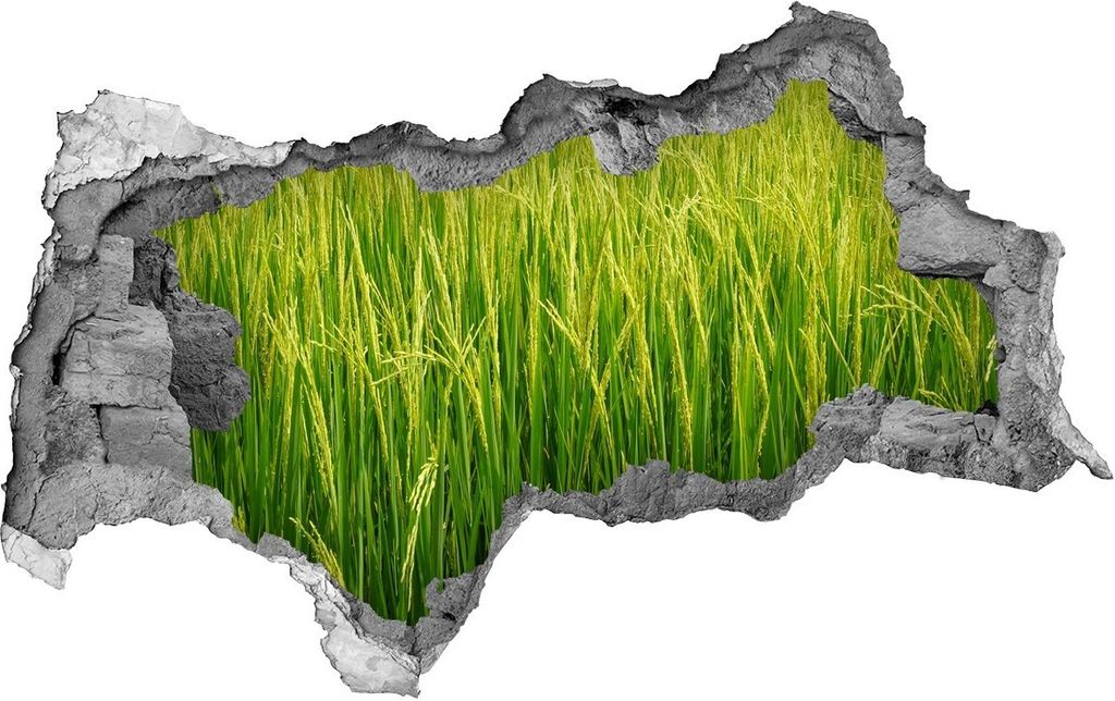 Selbstklebender Loch-3D-Aufkleber 95x73 cm Reisfeld Produktbild 