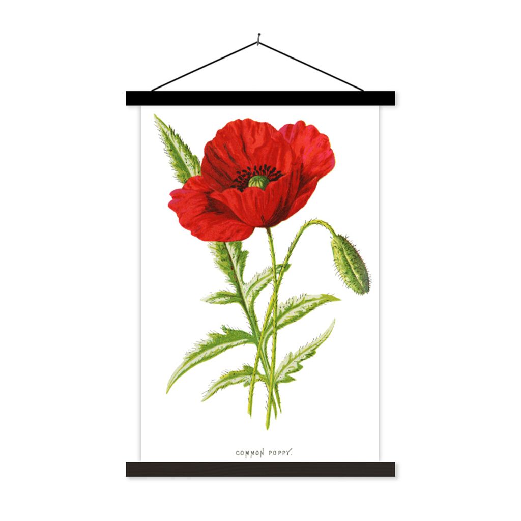 MuchoWow Textilposter Blume - Rot - Vintage 120x180 cm mit schwarzem Rahmen - Fotos