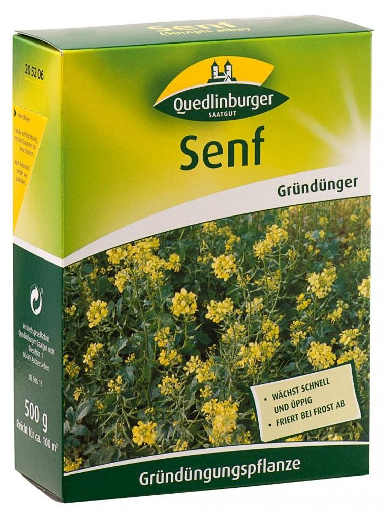 Senf 500 g | Gründünger von Quedlinburger Produktbild 