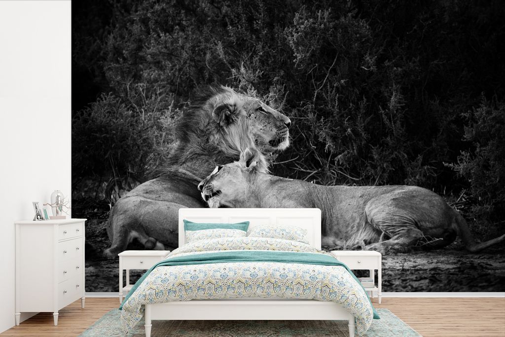 MuchoWow Fototapete für Wohnzimmer oder Schlafzimmer Wandtapete Vinyl Motivtapete Löwen - Schwarz - Wilde Tiere - 360x240 cm - Vinyl-Tapete
