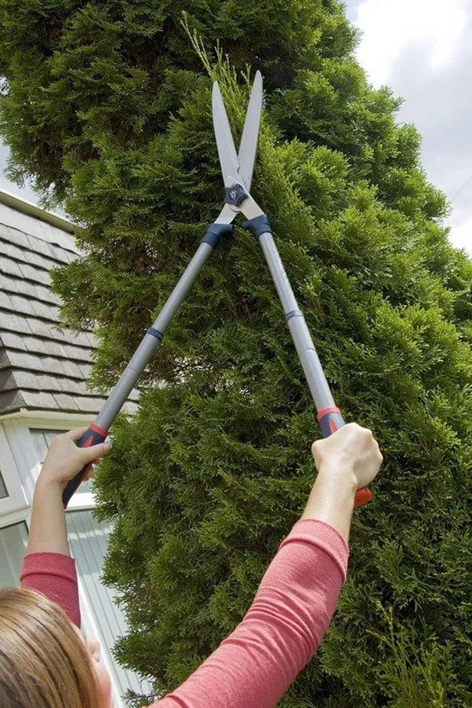 Ciseaux télescopiques tranchants en acier robuste avec manche extensible