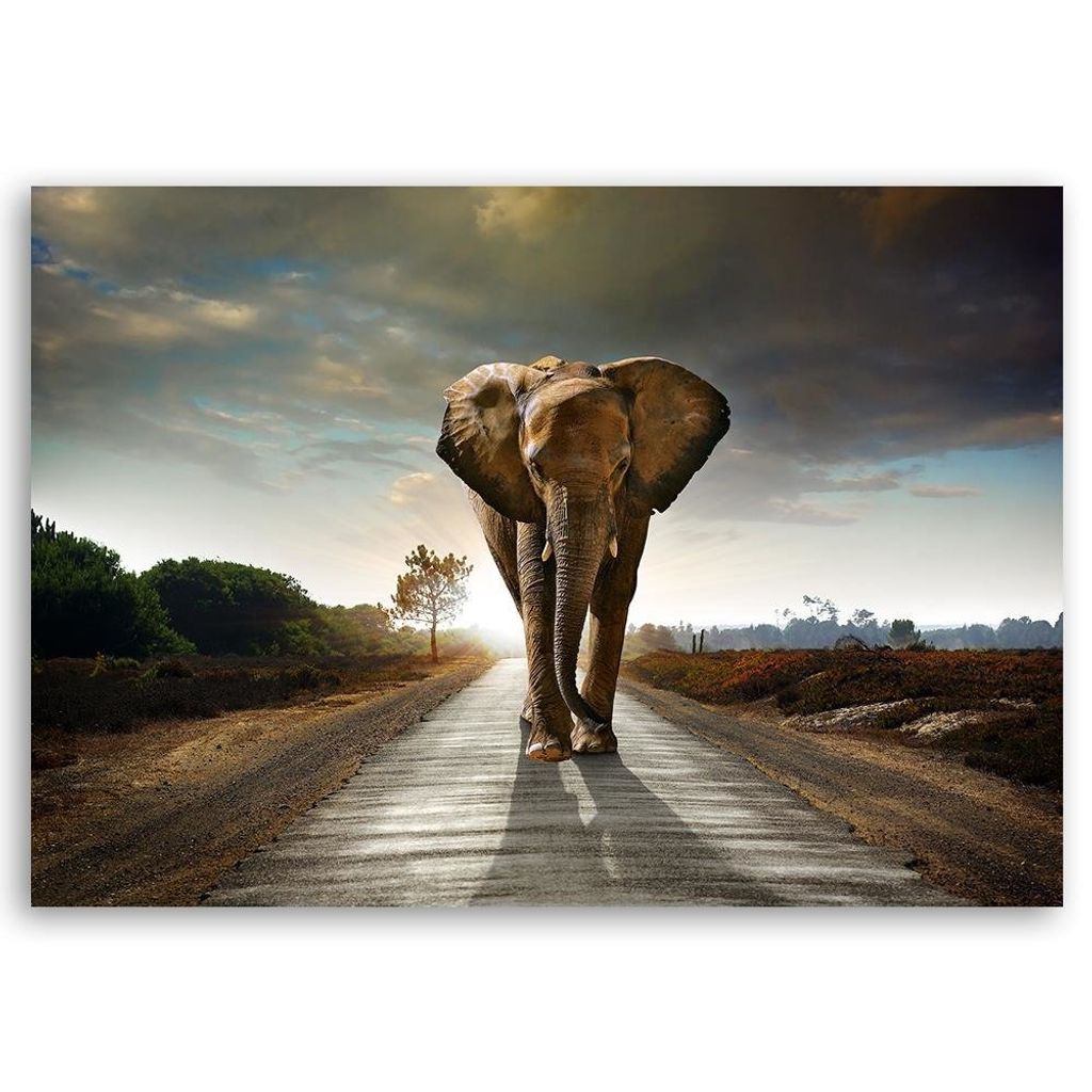 Elefanten V2 1P Bild auf Leinwand Wandbild Poster Kunstdruck 