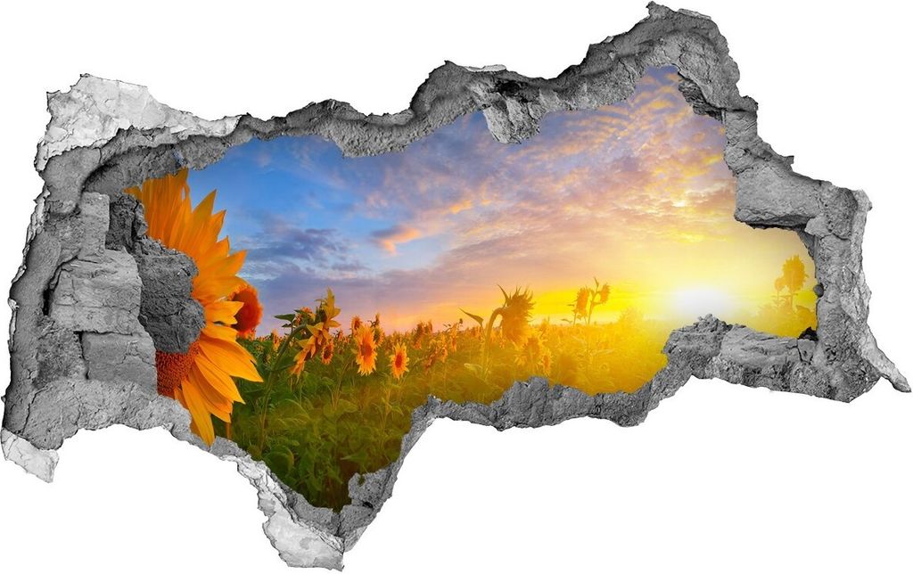 Selbstklebender Loch-3D-Aufkleber 95x73 cm Felder von Sonnenblumen