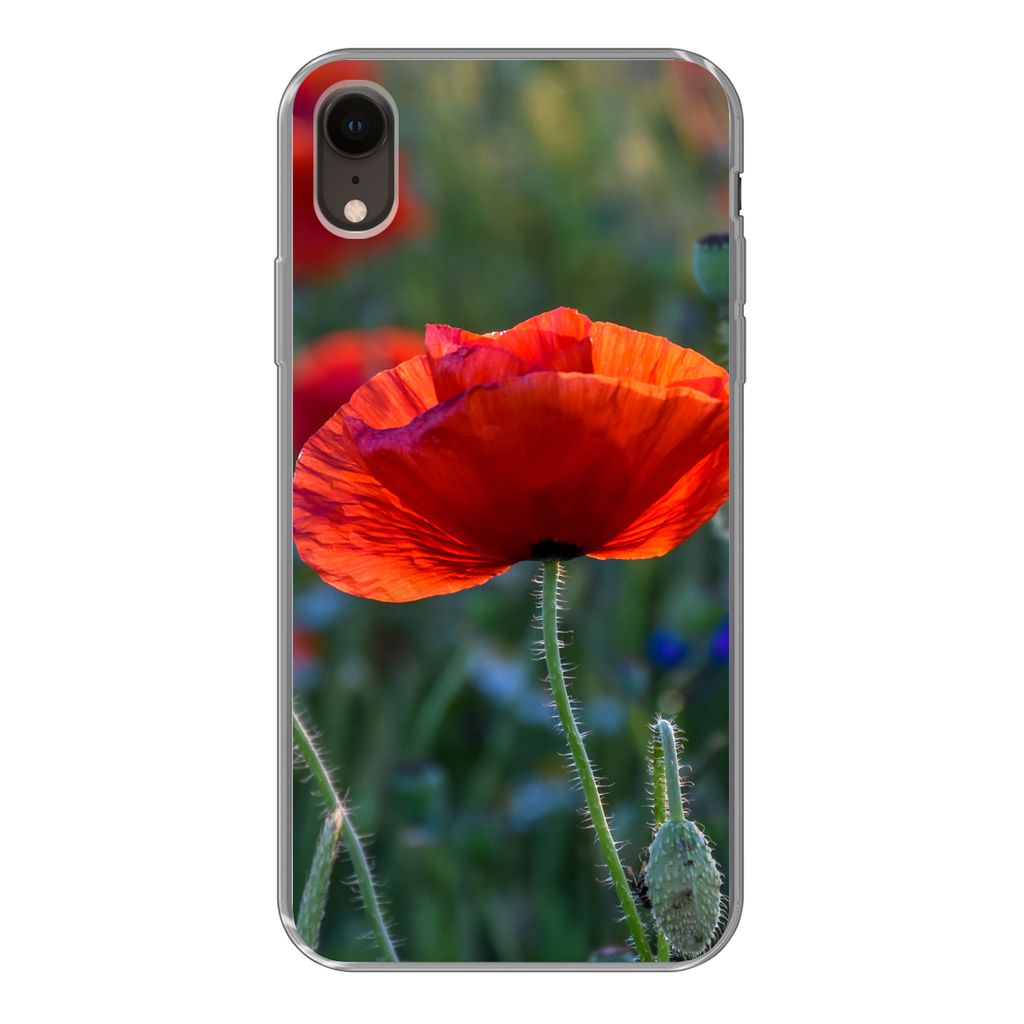 MuchoWow Handyhülle Schutzhülle Hülle für iPhone XR Bunte Mohnblumen in den Niederlanden Silikon Softcase Handy Hülle - Schutzdeckel