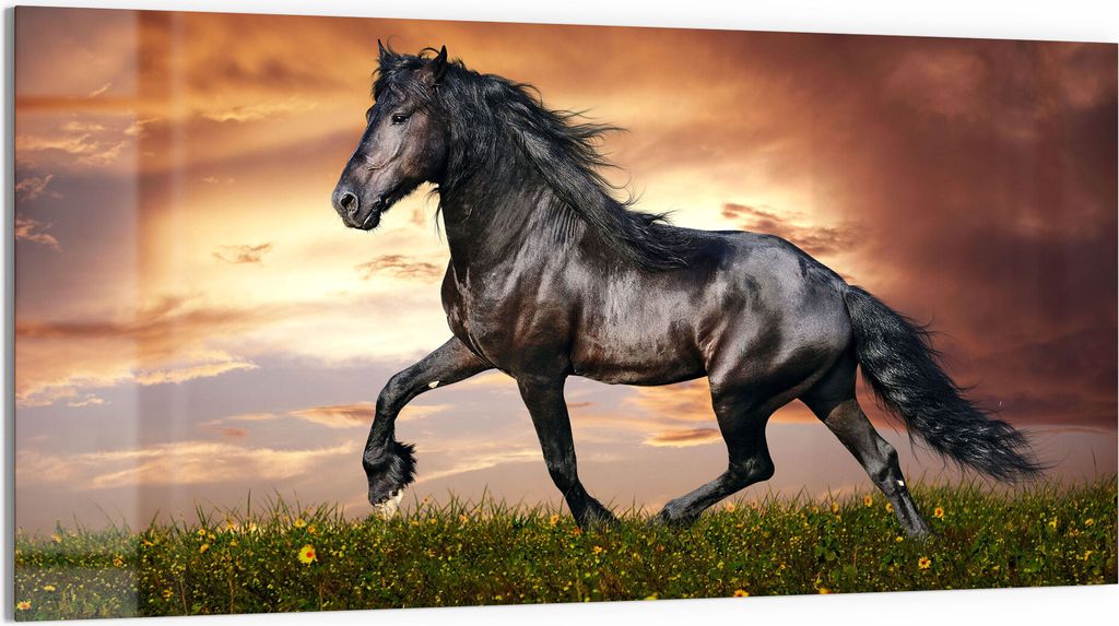 DEQORI Glasbild Acryl 100x50 cm 'Schwarze Perle Frieslands' Wandbild Bild modern Deko