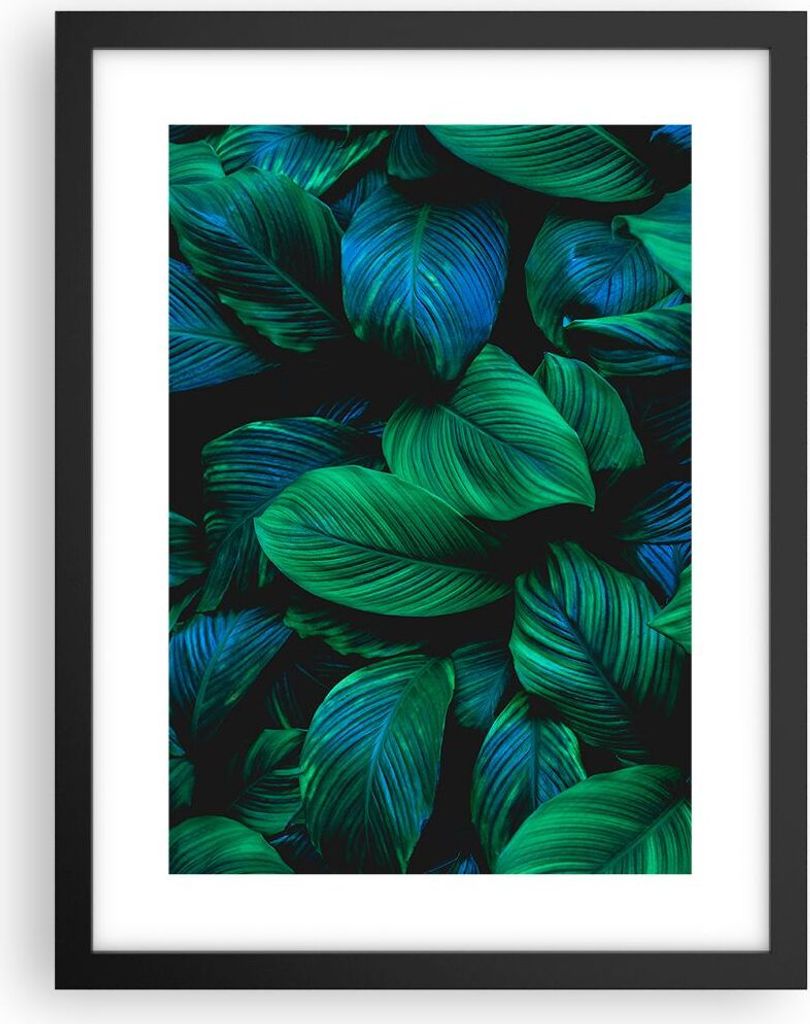 Gerahmtes Poster - Schwarzer Rahmen - Blätter Pflanzen Exotik - 30x40 cm - Wand Bild - Wanddeko - Wandbilder - Kunstposter - Wandposter - Bilderra...