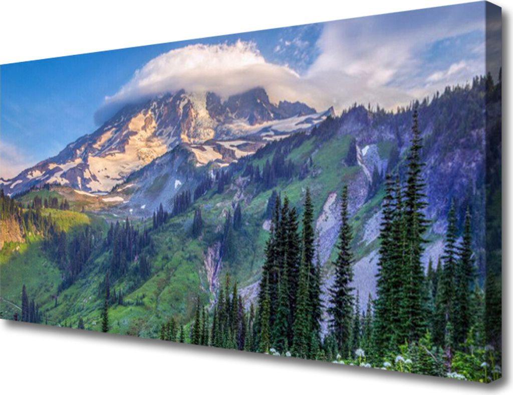 Tulup Leinwand-Bilder 100x50 Wandbild Canvas Kunstdruck Gebirge Wald Landschaft