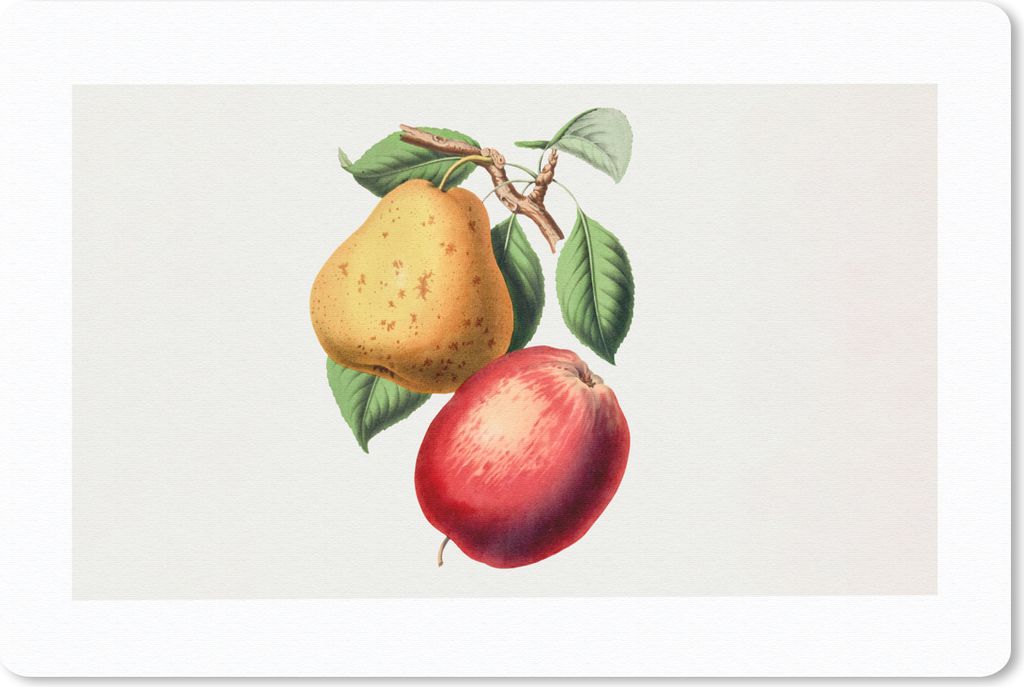 MuchoWow Mauspad Mousepad Birne - Apfel - Obst 27x18 cm - Mousepads - Maus Mat - Pad - Mausunterlage - Büroartikel - Desk Matten