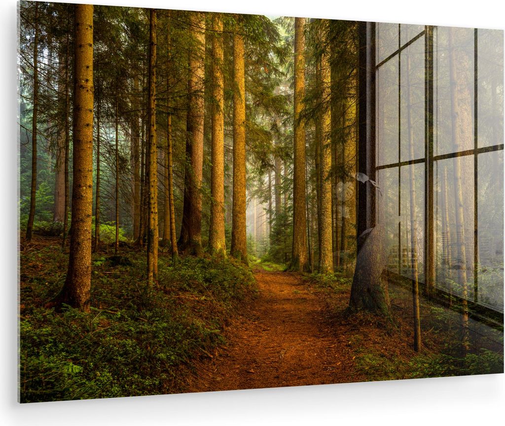 MuchoWow Glasbilder - Bilder auf Wandbild - Foto auf Glas Wald - Natur - Bäume - Landschaft - Laub 60x40 cm Wanddekoration aus Glas - Acrylglasbil...