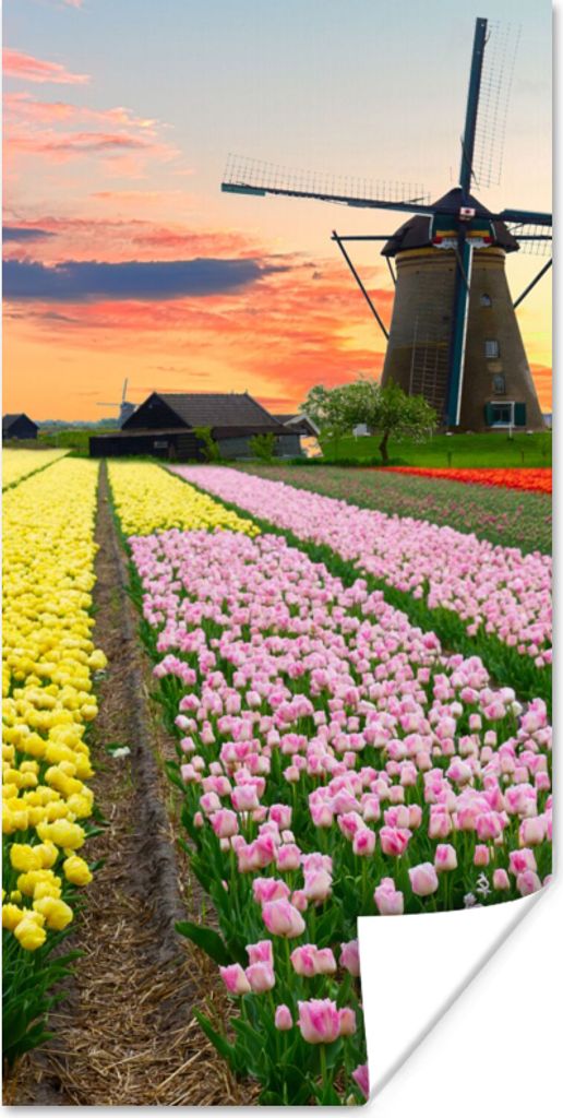 MuchoWow Poster Windmühle - Tulpen - Blumen - Niederlande 80x160 cm - Kinderzimmer