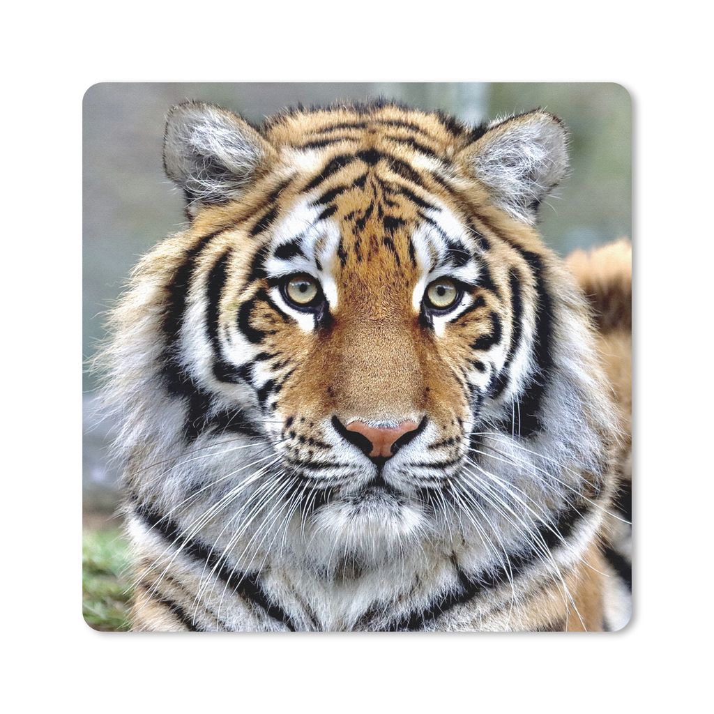 MuchoWow Mauspad Mousepad Tiger - Jung - Tiere 30x30 cm - Mousepads - Maus Mat - Pad - Mausunterlage - Gaming