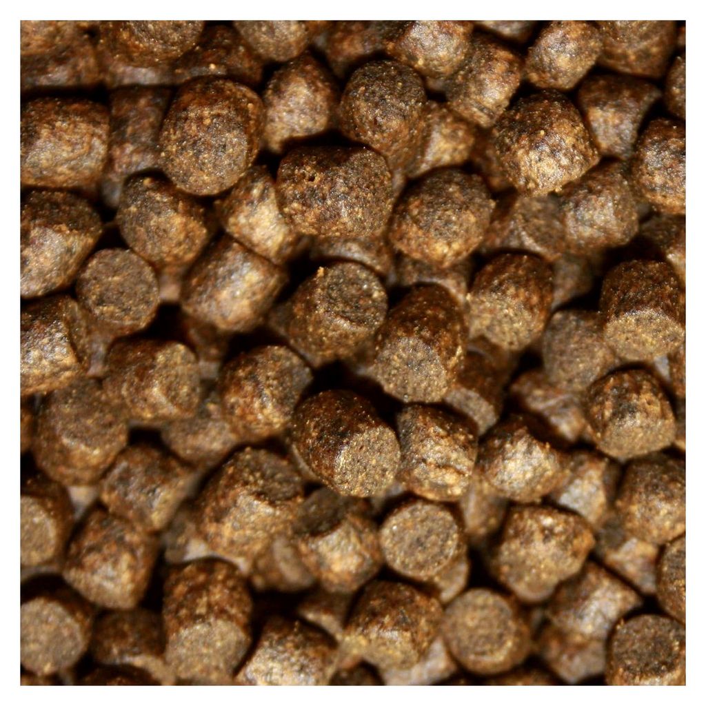 Winterfutter für Koi mit Spirulina, farbverstärkend, hochverdaulich, 5mm, 15kg